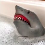 Try Not To Laugh Watching Shark Puppet Compilation - Funny Shark Puppet TikTok Videos