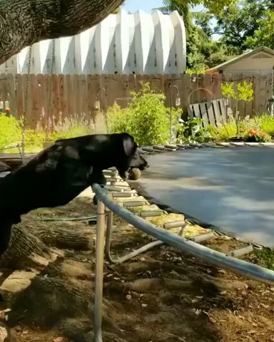 This is Bear, he figured out a very clever 58406126406403720