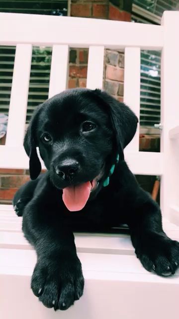 VSCO - caitlindever - Images 58406126406072170