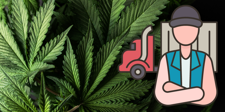 If marijuana is recategorized as a less-dangerous drug, what does that mean for trucking? - Image: HDT Graphic