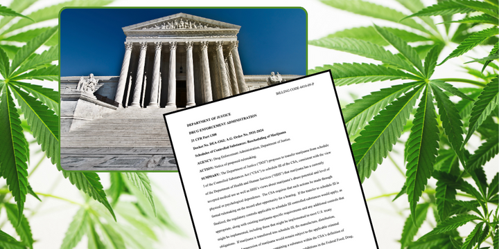 The Justice Department is asking for comments on a proposal to reclassify marijuana under the Controlled Substances Act. - Image: HDT Graphic