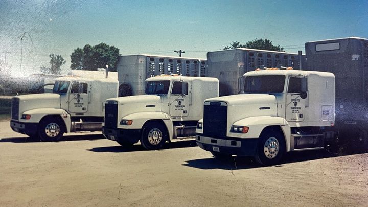 Schuetze's fleet of White Freightliner cabover tractors with matching Hobbs trailers. The...