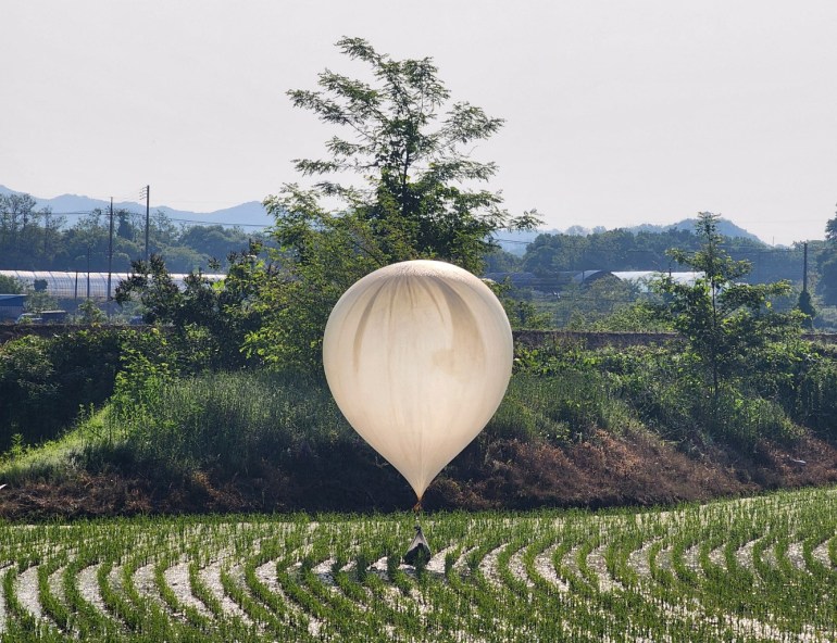 A balloon believed to have been sent by North Korea, carrying various objects including what appeared to be trash and excrement, is seen over a rice field at Cheorwon, South Korea