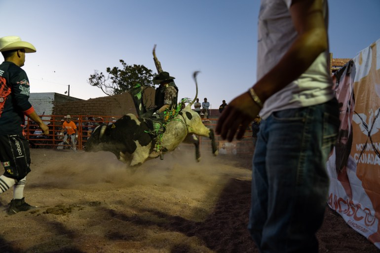 A bullrider holds onto a bucking bull as he enters the ring in a rodeo.