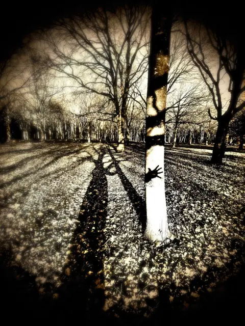 Andreas Pantelides The shadow of a hand on a tree trunk