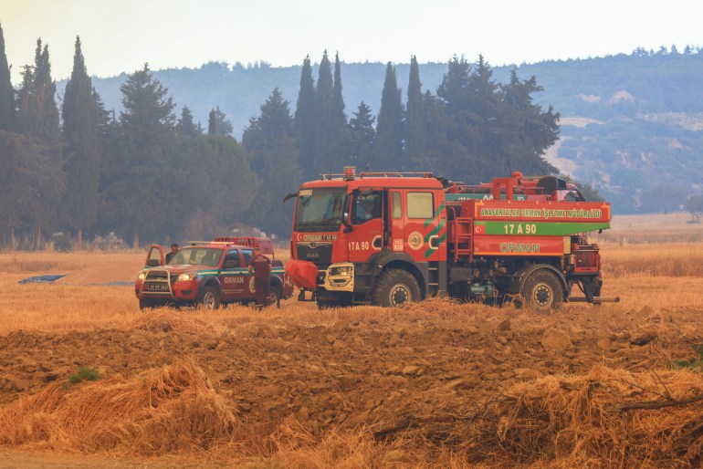 A fire near Kumkoy in the Gelibolu Peninsula, Turkey