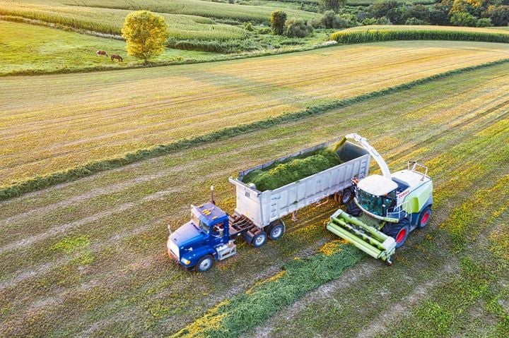 Harvester loading a tractor-trailer in a field.