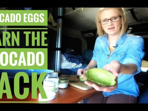 Trucker’s Kitchen: Avocado Egg & Breakfast Scrambled