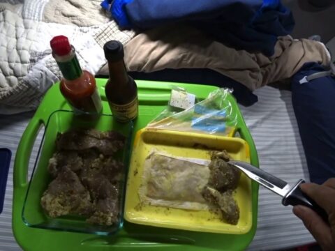 February 4, 2020/61 Trucking.cooking marinated chicken on HOTLOGIC MINI