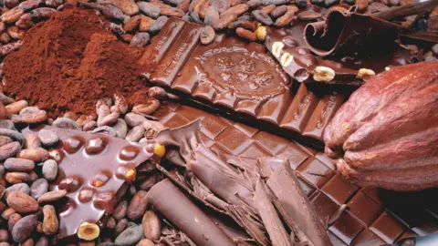 Chocosuisse Close up shot showing a variety of broken chocolate and cocoa fruit