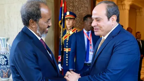 Getty Images Egyptian President Abdul Fattah al-Sisi (R) welcomes the Somalian President Hassan Sheikh Mohamud (L) to Cairo, Egypt in January 2024