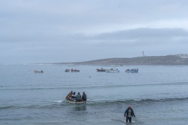 Fishing boats