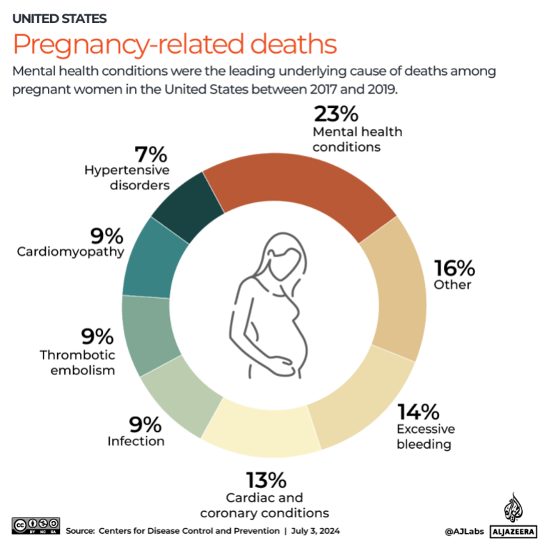 interactive-US-PREGNANCY-DEATHS-JULY3-2024-1720012085