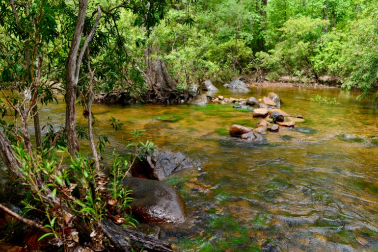 Alligator Creek