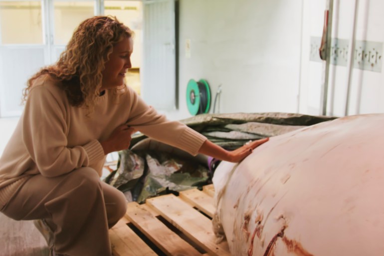 This photo provided by OneWhale.org on Wednesday, Sept. 4, 2024, shows manager Regina Haug next to the carcass of the beluga whale Hvaldimir