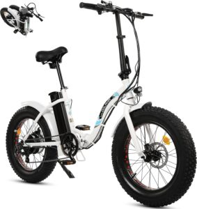 ECOTRIC 20 inch Folding Electric Bike