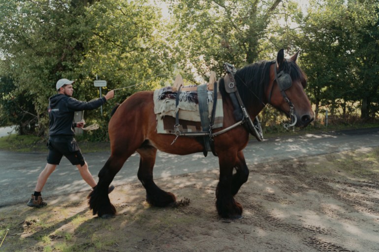 Horseback shrimp fisher Gregory Debruyne prepares his horse Kelly for a fishing session in the outskirts of Oostduinkerke, Belgium. Photo by Diana Takacsova.