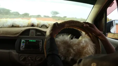 Mohamed Gabobe Hands on a steering wheel