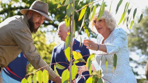 PA Media Queen Camilla looks at a newly planted snow gum eucalyptus trees, in the garden of Government House in Canberra