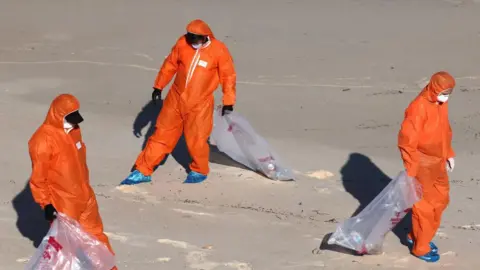 AFP Workers in protective suits conduct a cleanup operation to clear petroleum-based "tar balls" washed ashore on Coogee Beach in Sydney on October 17, 2024.