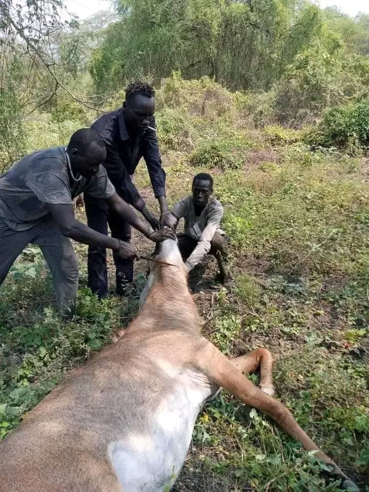 Hunters in South sudan