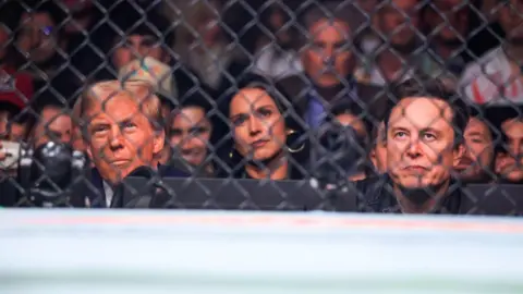 Getty Images Donald Trump, Tulsi Gabbard and Elon Musk at UFC 309