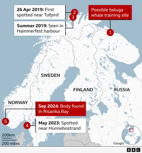 Map showing the route thought to have been taken by the beluga whale, from the Russian Arctic to southern Scandinavia