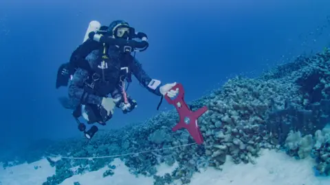 photograph by Manu San Félix, National Geographic Pristine Seas A diver from National Geographic Pristine Seas measures the world’s largest coral colony in the Solomon Islands.