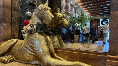 Stephen Greaves/BBC News A massive golden Dobermann sculpture is seen in the lobby of The Ben hotel