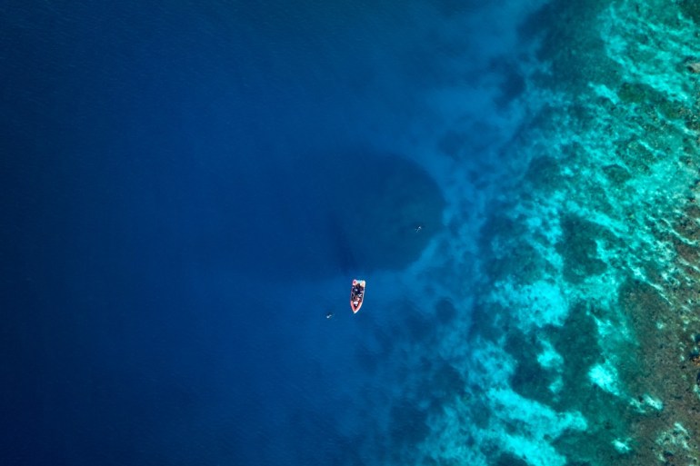 This handout photo taken by National Geographic Pristine Seas on October 24, 2024, and released on November 14, shows a dive boat sailing over the world's largest coral located near the Pacific's Solomon Islands. - Scientists say they have found the world's largest coral near the Pacific's Solomon Islands, announcing on November 14, a major discovery "pulsing with life and colour". (Photo by MANU SAN FELIX / NATIONAL GEOGRAPHIC PRISTINE SEAS / AFP) / NO USE AFTER DECEMBER 14, 2024 04:18:12 GMT - RESTRICTED TO EDITORIAL USE - MANDATORY CREDIT "AFP PHOTO / NATIONAL GEOGRAPHIC PRISTINE SEAS" - NO MARKETING NO ADVERTISING CAMPAIGNS - DISTRIBUTED AS A SERVICE TO CLIENTS - NO ARCHIVE