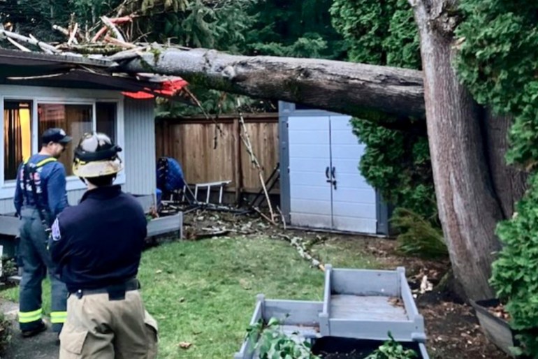 Emergency workers survey damage from a fallen tree