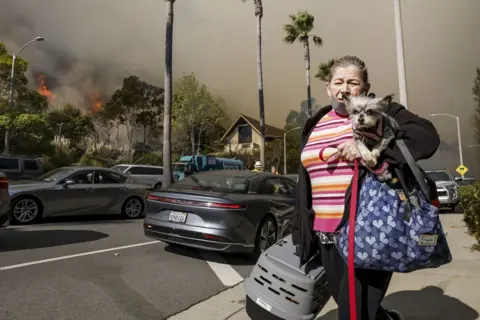 Caroline Brehman/EPA A woman holds her dog and belongings while evacuating, as she walks down a street with fire in the background, in the Pacific Palisades.